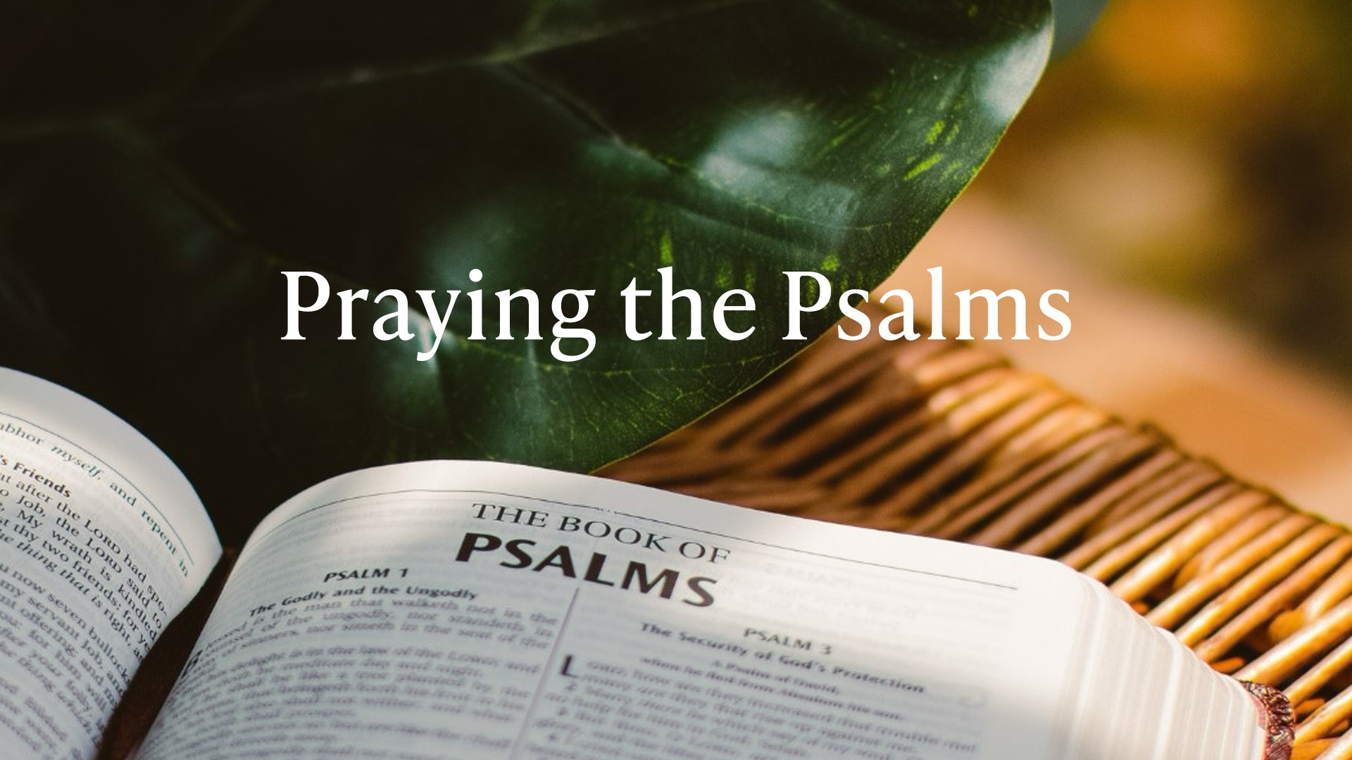 Praying the Psalms | New Life Church