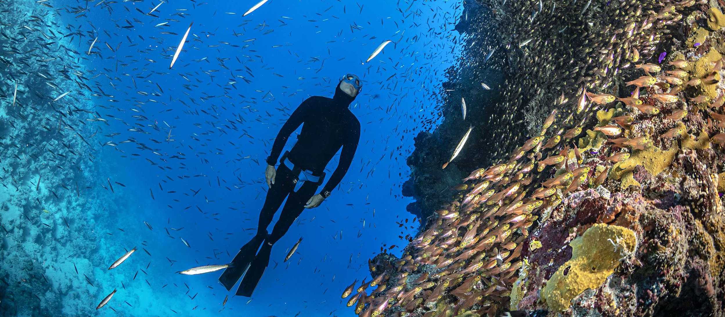 Understanding The Secrets of Deep Freediving Tips from Three National
