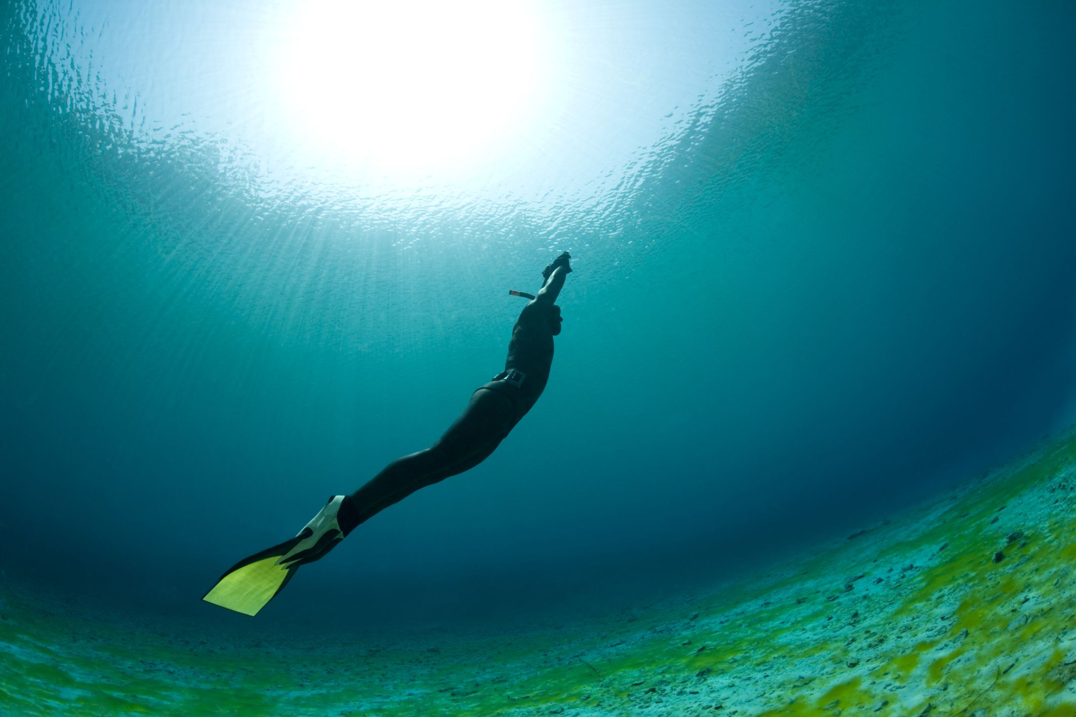 Breath Hold Diving Part 4 DAN Southern Africa