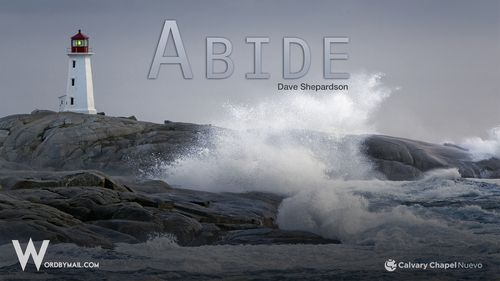 Abide