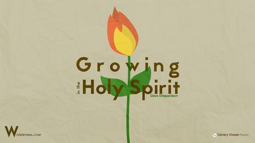 Growing in The Holy Spirit