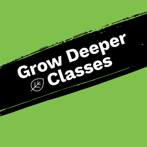 Life Change University Classes