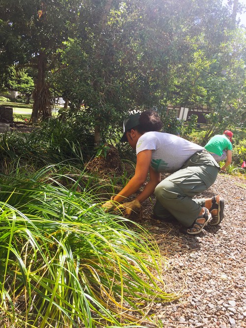 man and woman gardening