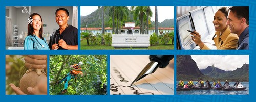 Female and male nurse aides windward community college campus entry sign woman and man working on a computer hands holding ulu ulu man in tree cutting tree limbs fountain pen writing men on jek skis on water