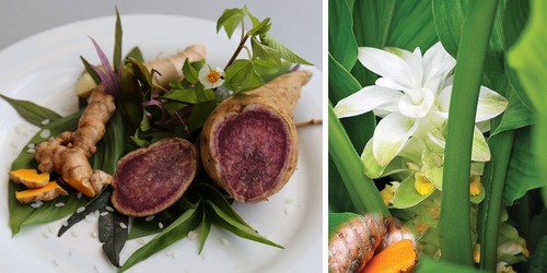 olena turmeric and sweet potato