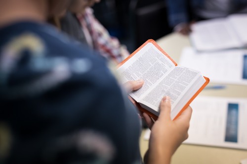 Man reading the Bible