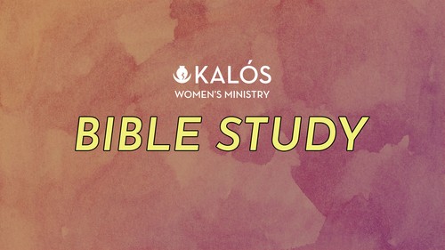 Bible Study