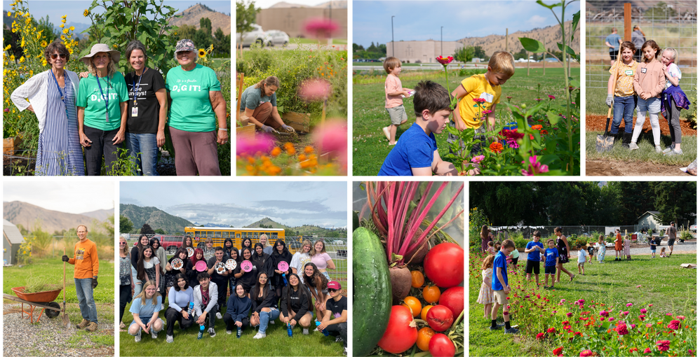 A collage of volunteers, families, and flowers at the Cashmere Community Garden