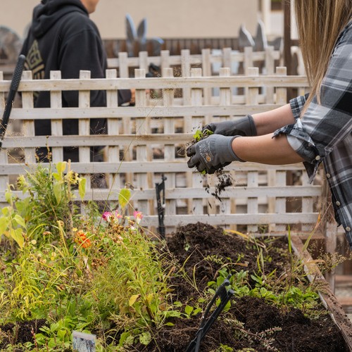 Volunteers weeding the Vale School flower beds