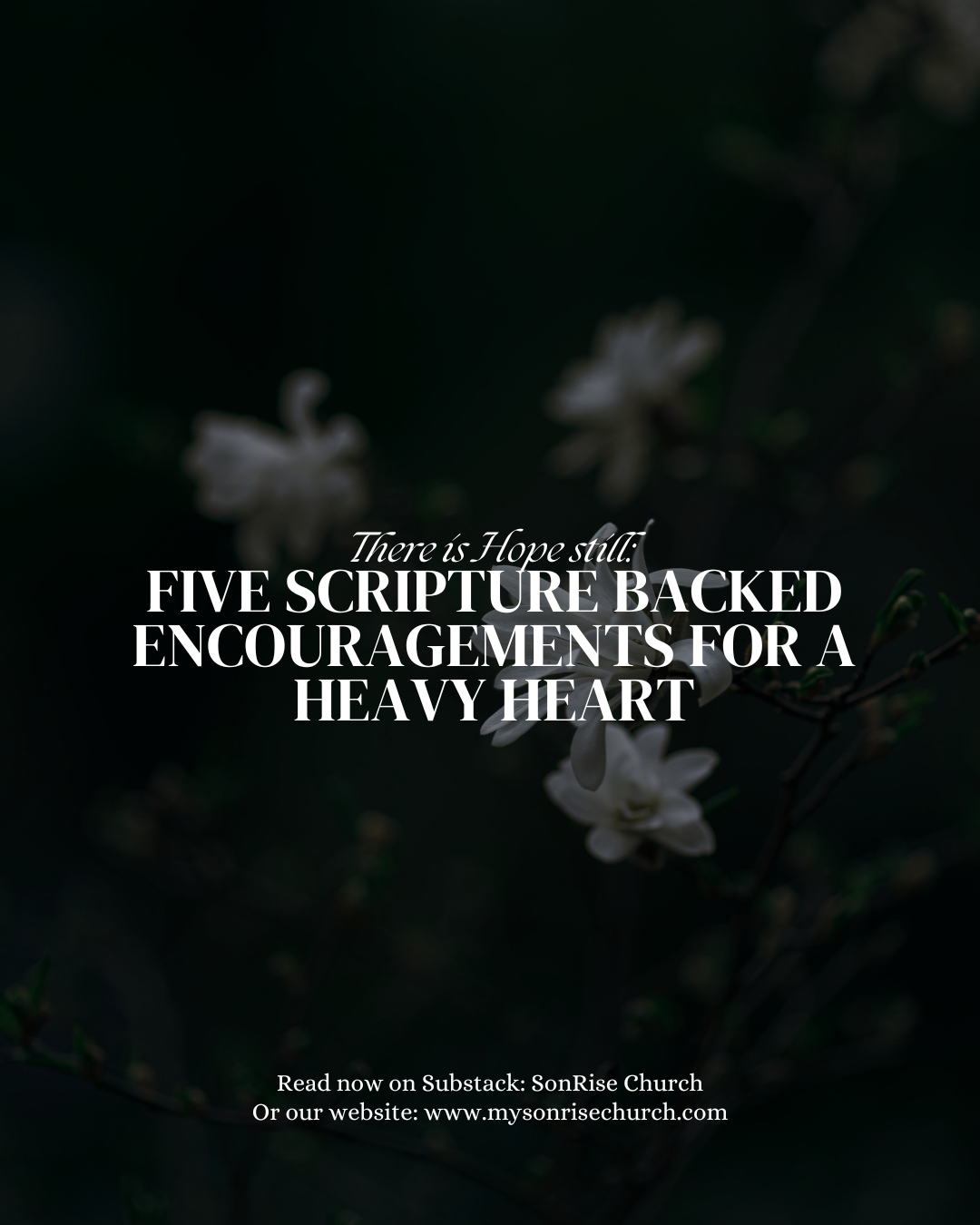 There is Hope Still: Five Scripture Backed Encouragements for a Heavy ...