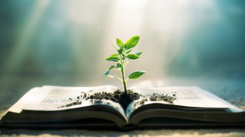 Faith Pathway at North Central