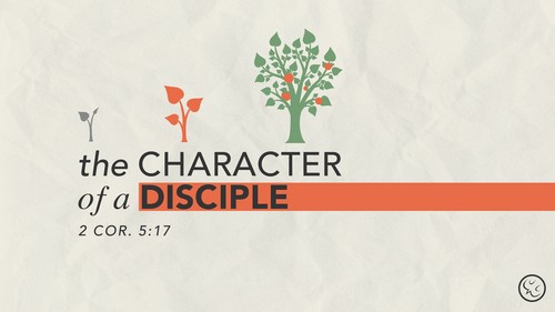 Poster for Christmas Light Show Spectacular, Adopt a Night event from December 1-19 6pm to 8:30pm except Saturday evenings