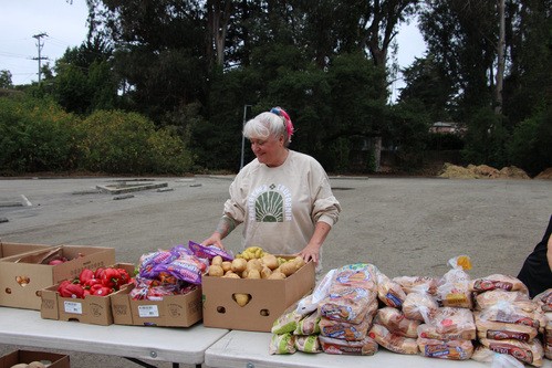 Photo Credit Nina Strehl