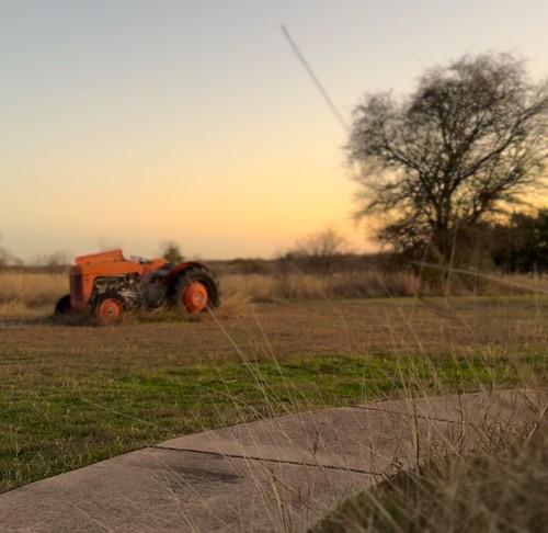 Landscaping and Groundskeeping