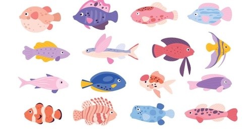 Little Fish