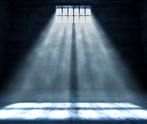 Flowers sprouting above broken ground