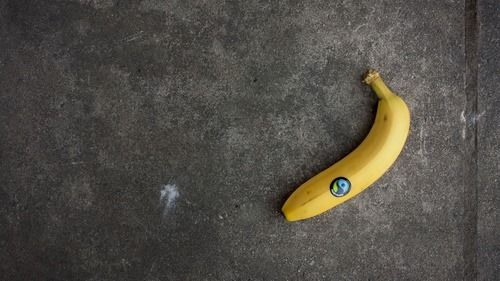 Banana With FairTrade Sticker.