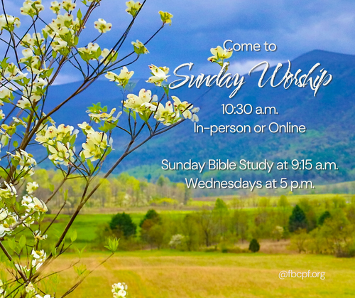 Livestream on Facebook