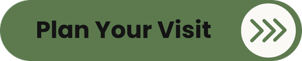 Plan a Sunday visit to Canyon View Church