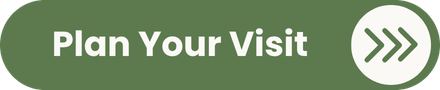 Plan a Sunday visit to Canyon View Church