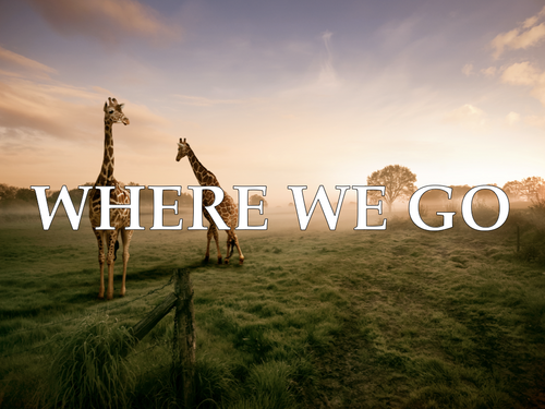 Where We Go