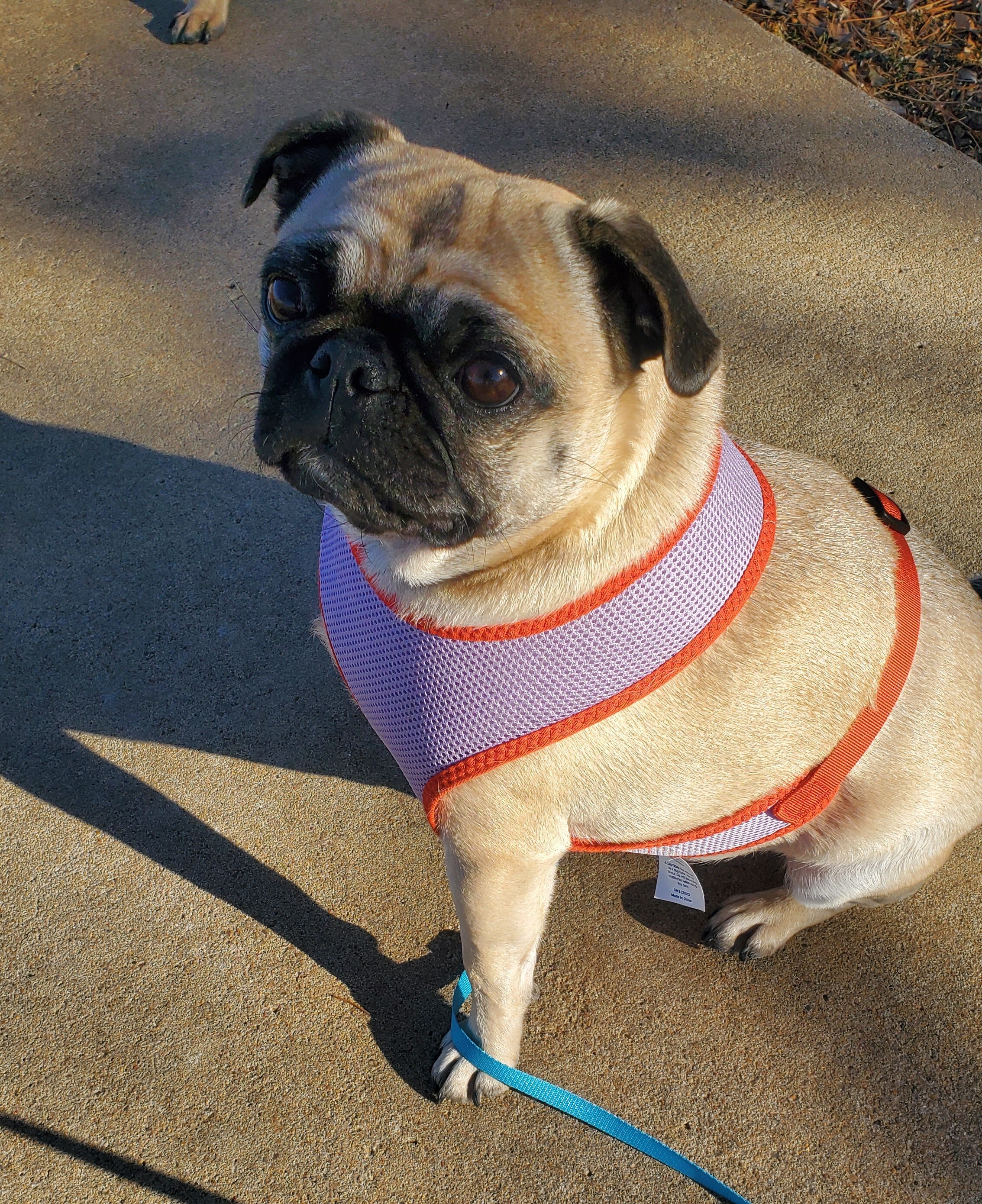 Jenny Vanderford - Hover