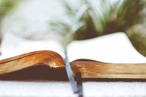 Bible Studies