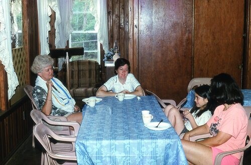 People sitting around table.