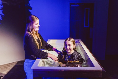 Baptism at Graystone