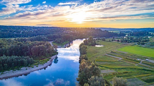 Local Impact