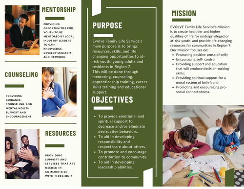 Evolve Family Life Services Brochure