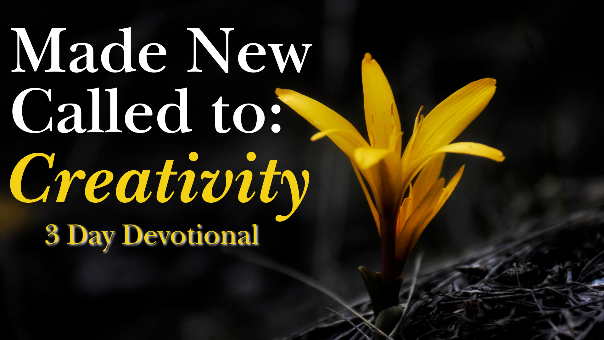 Made New: Called to Creativity 3 Day Devotional | Union Baptist Church ...