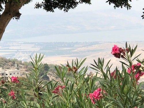Wanted you to see flowers with the Sea of Galilee in the  background, not the restaurant from which I took it.