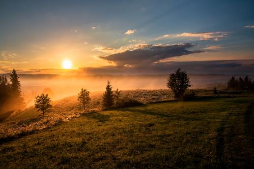 Sunset on a hillside with trees.