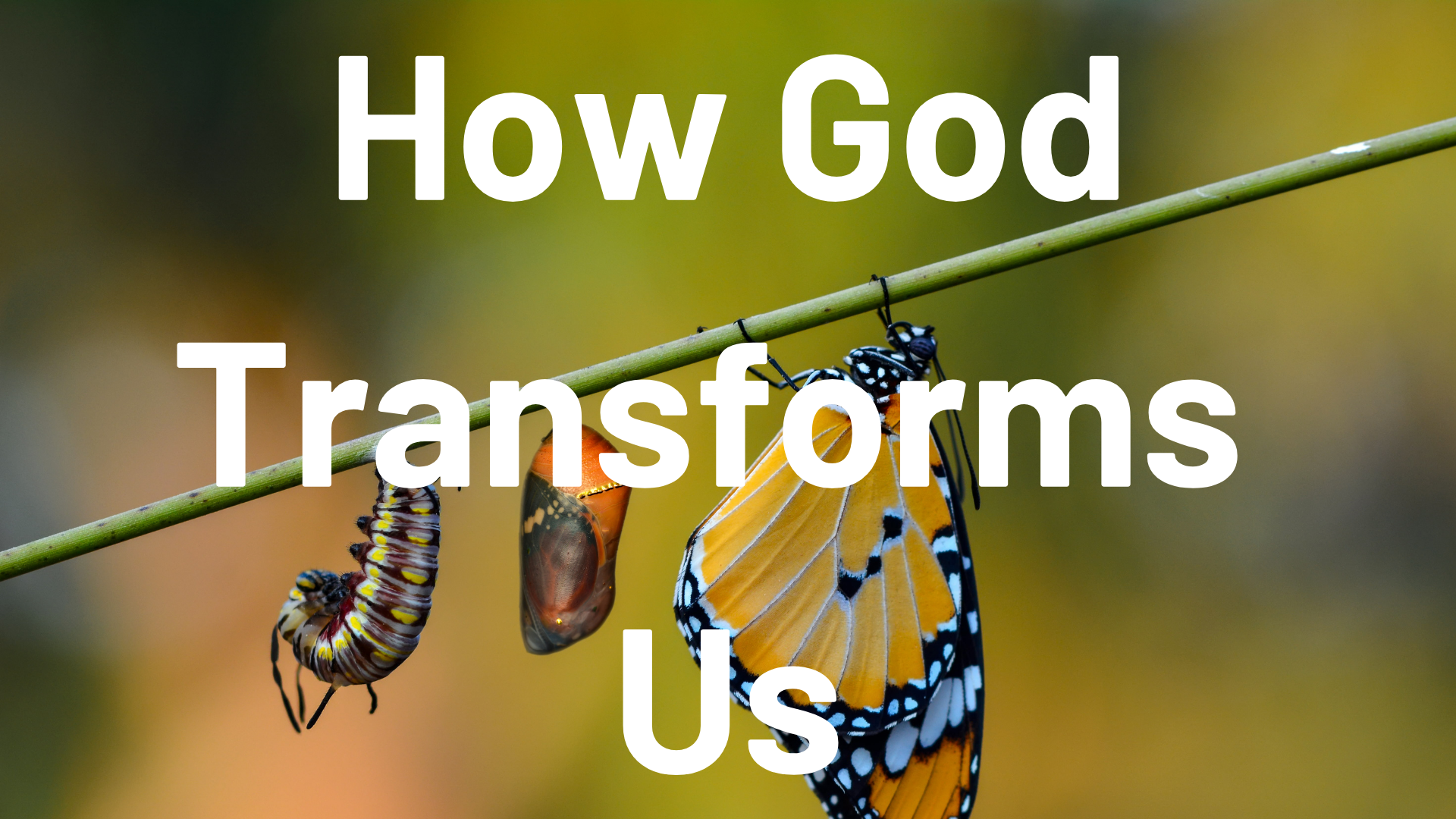 How God Transforms Our Priorities, Perspective, and Practices ...