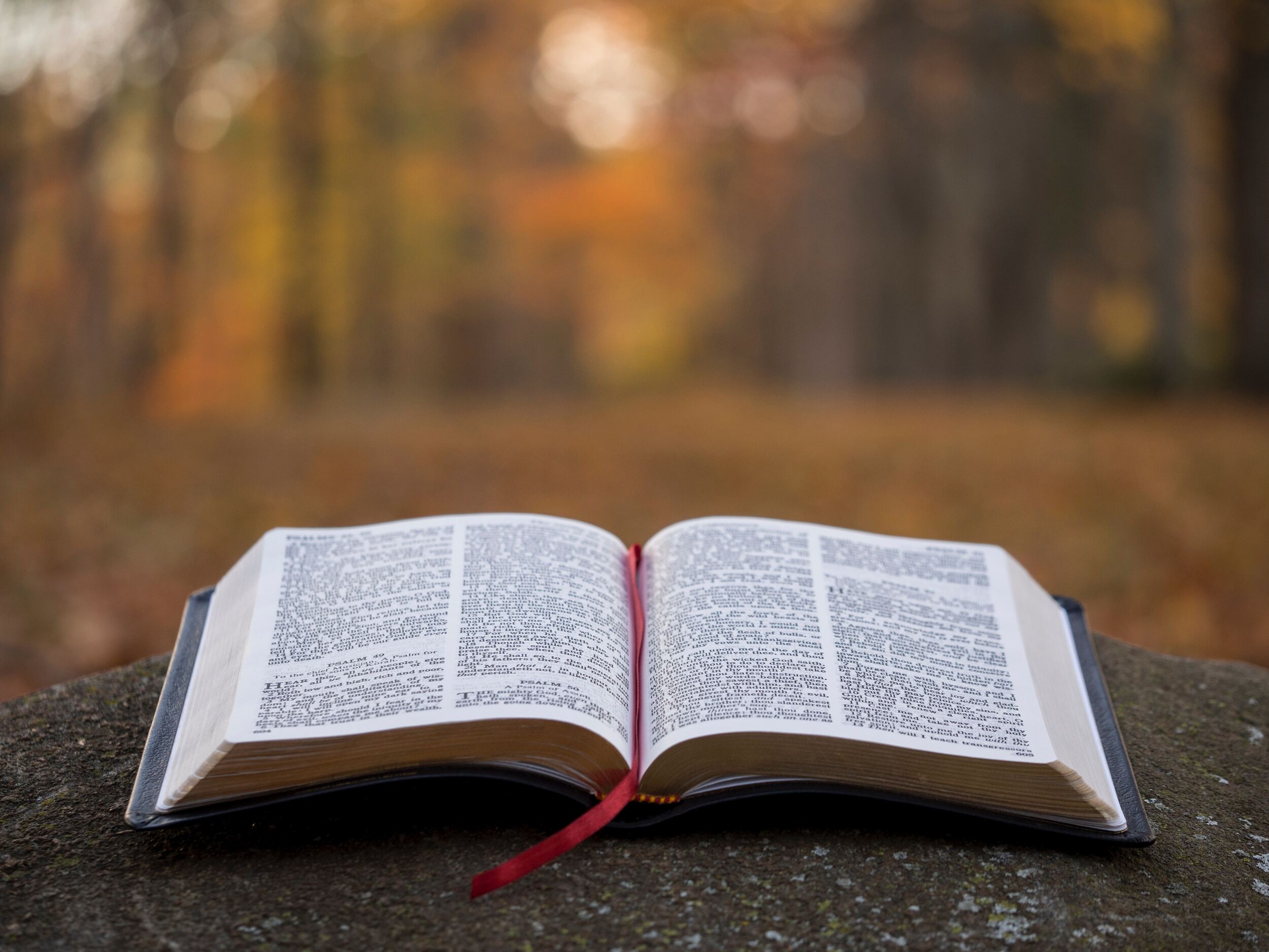 Why and How to Read God’s Word | Stones Crossing Church