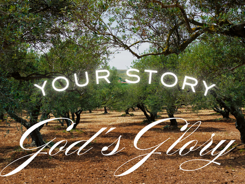 Life Group