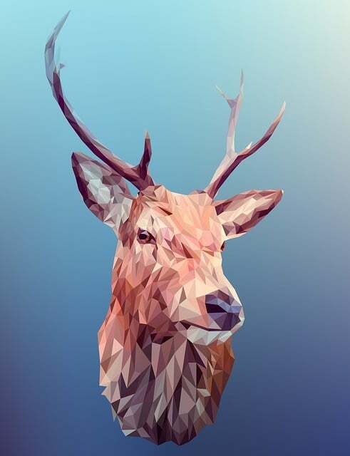 woodland elementary school