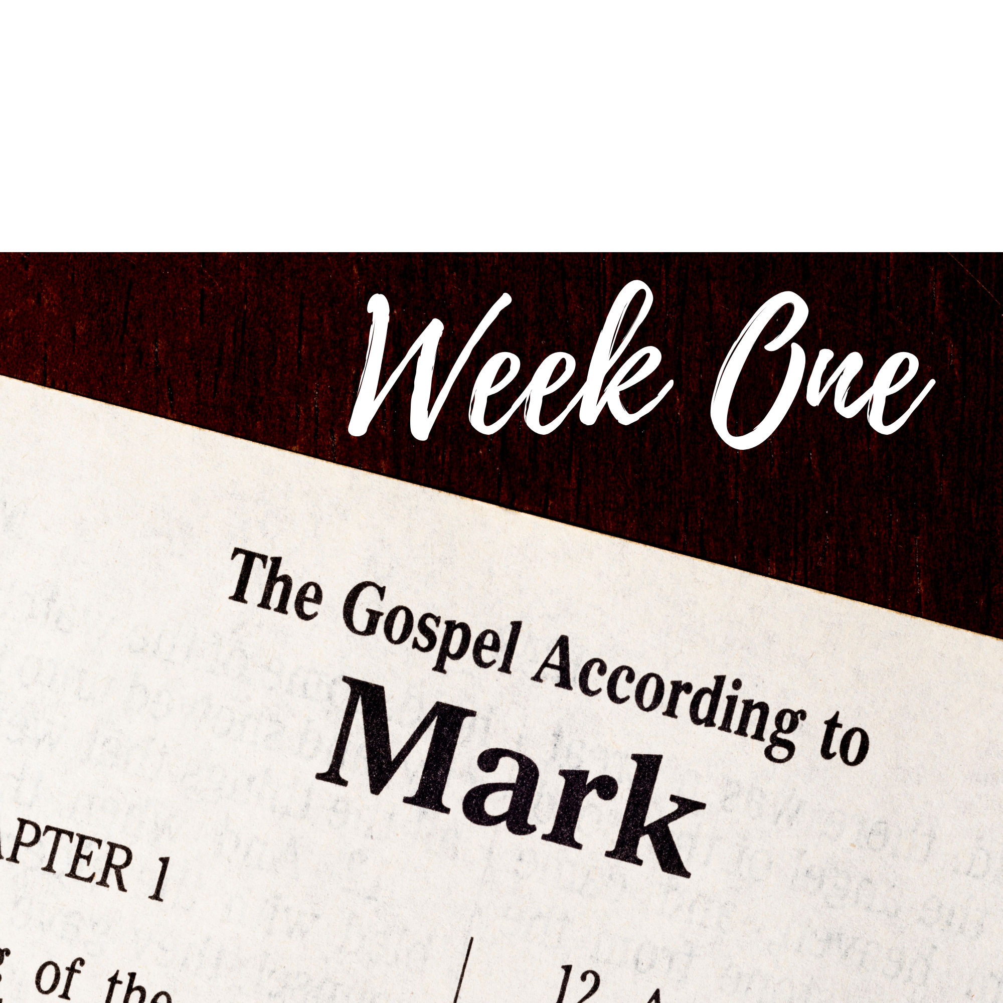 Saturday Mark 1:21-28 | Doylestown United Methodist Church