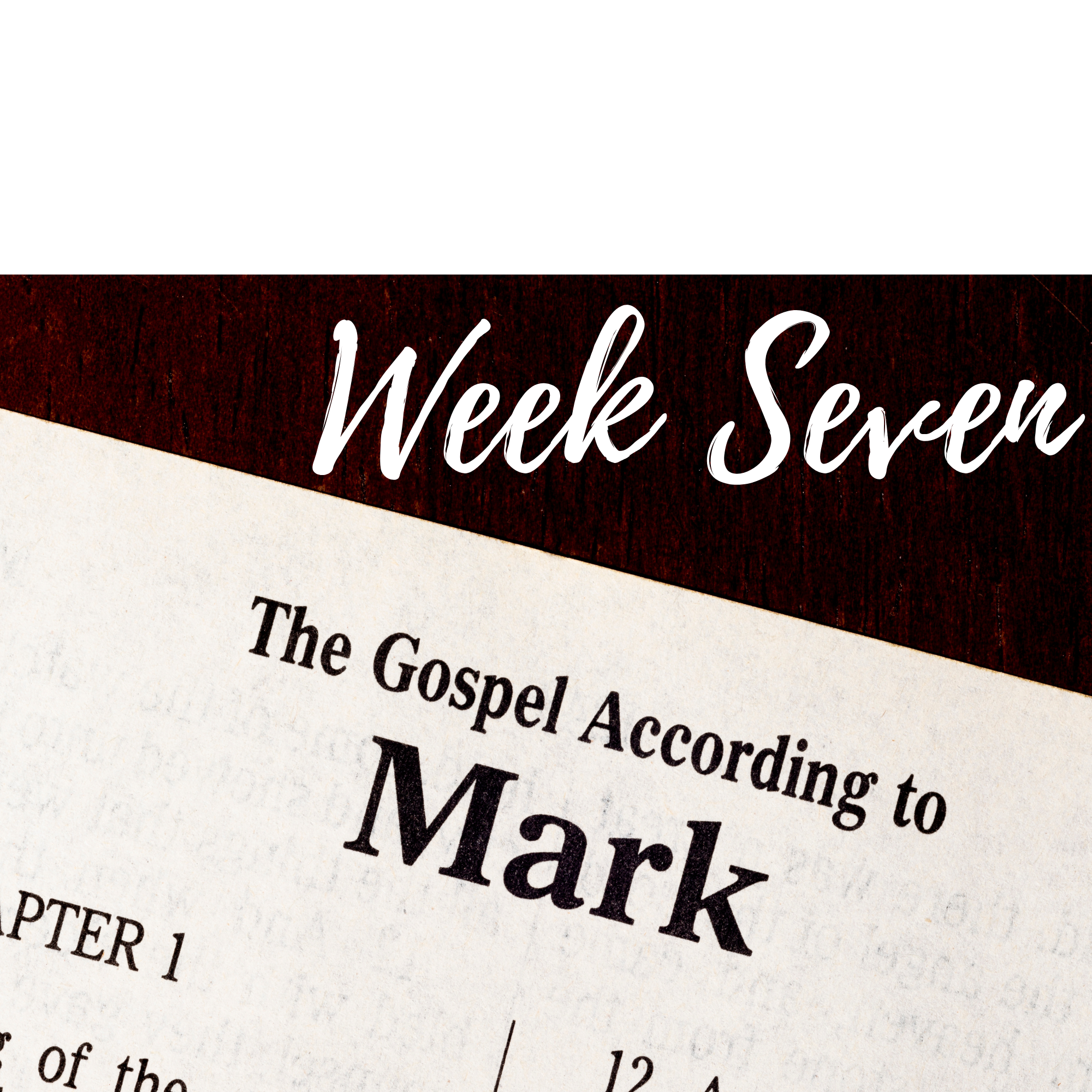 Friday Mark 8:27-30 | Doylestown United Methodist Church