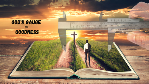 Proverbs 12:2 Baptist Church Buffalo NY