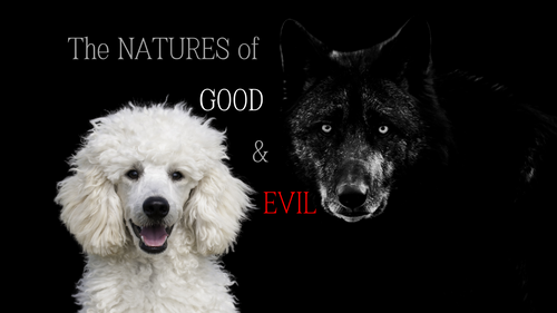 Bible Believing Church New York Proverbs 13:21