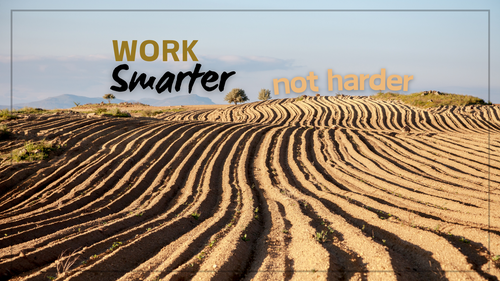 Proverbs 13:23 Christian Bible Teaching Church Buffalo NY