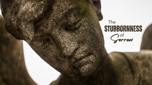 Proverbs 14:13 Bible Church Buffalo New York