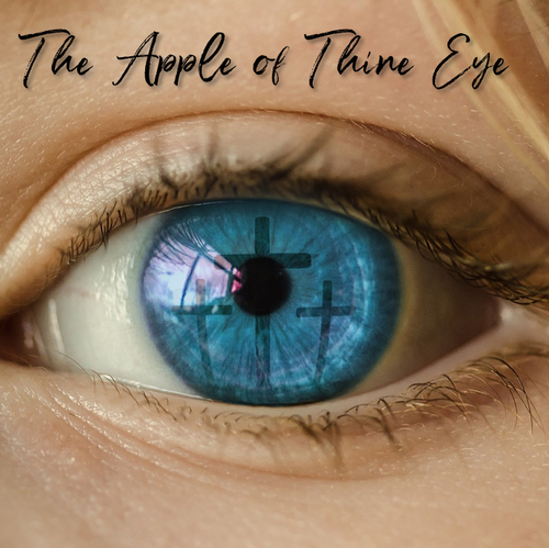 Baptist Church East Aurora NY