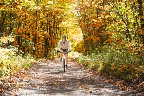 Man riding bicycle in forest