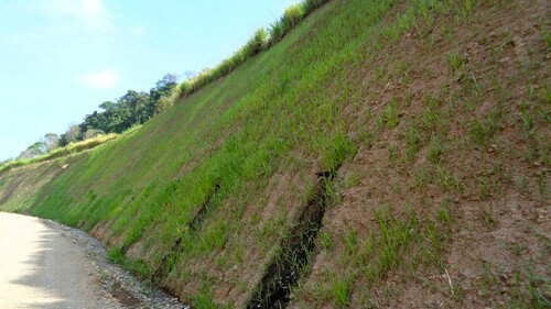 Autopista Conexi&oacute;n Pacifico II